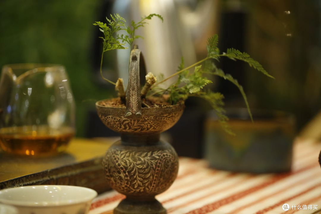 红茶研讨会,英德红茶如何打造特色品牌?