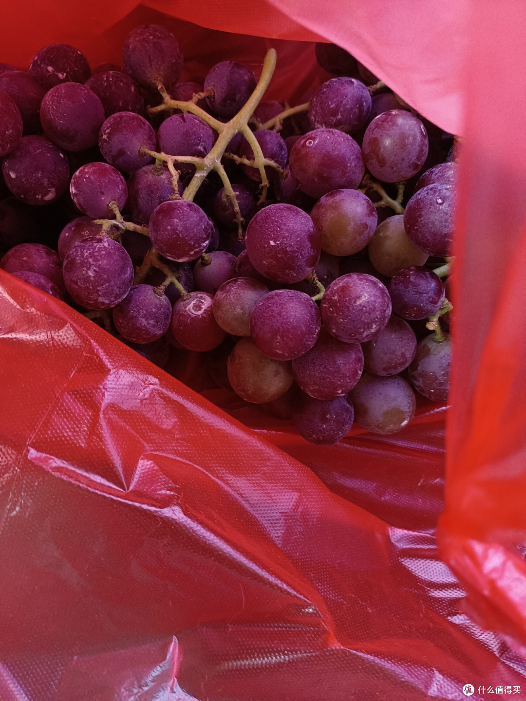 夏日葡萄,清凉一夏,让你远离烦恼!