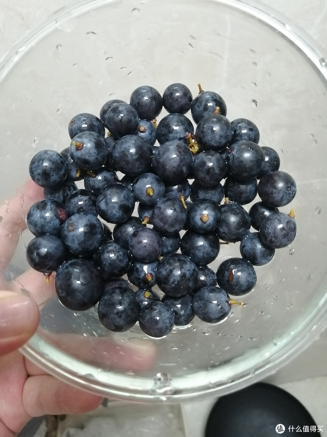 夏日食光 | 夏日何以解暑,必须是水果呀