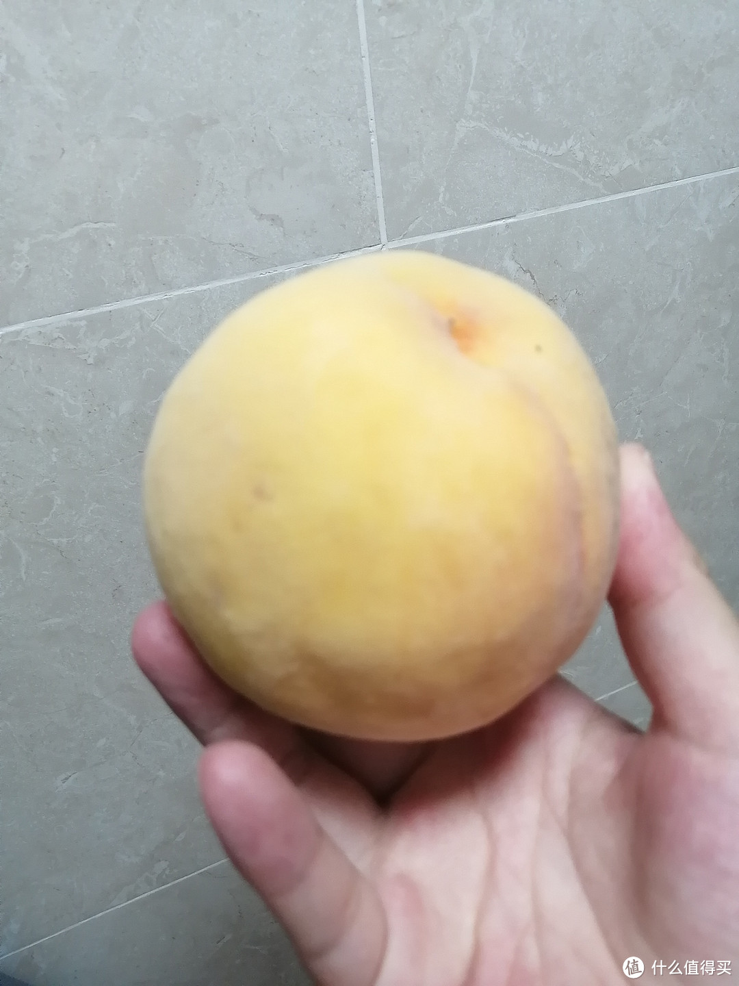 夏日食光 | 夏日何以解暑,必须是水果呀