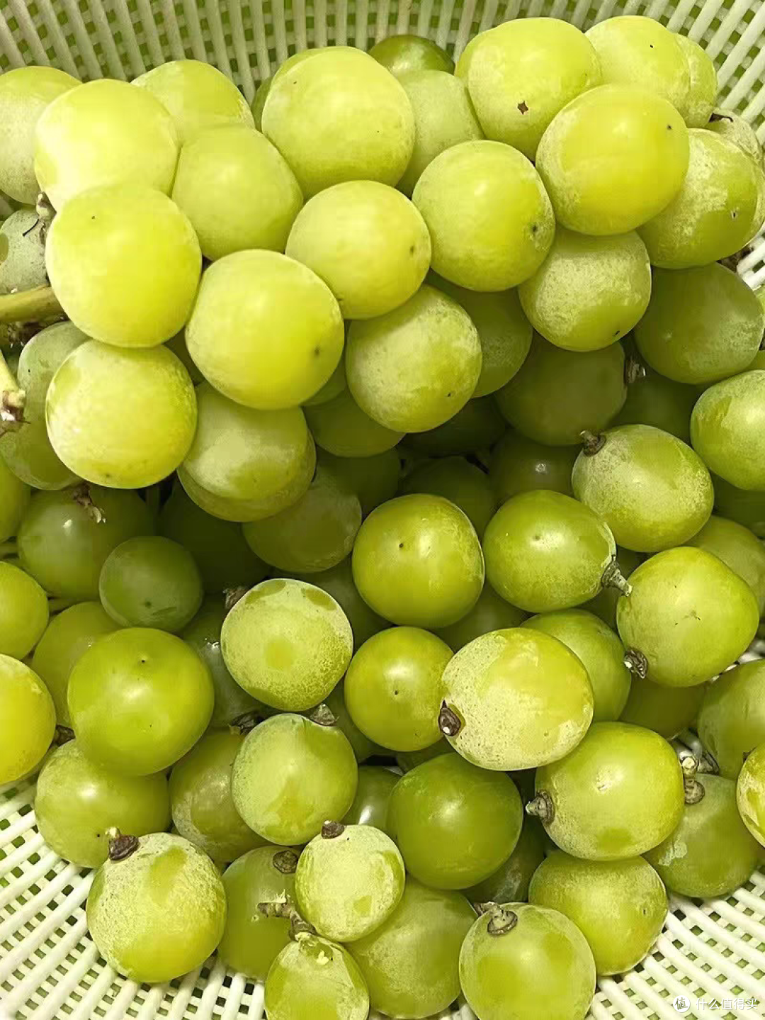 夏日食光丨阳光玫瑰葡萄