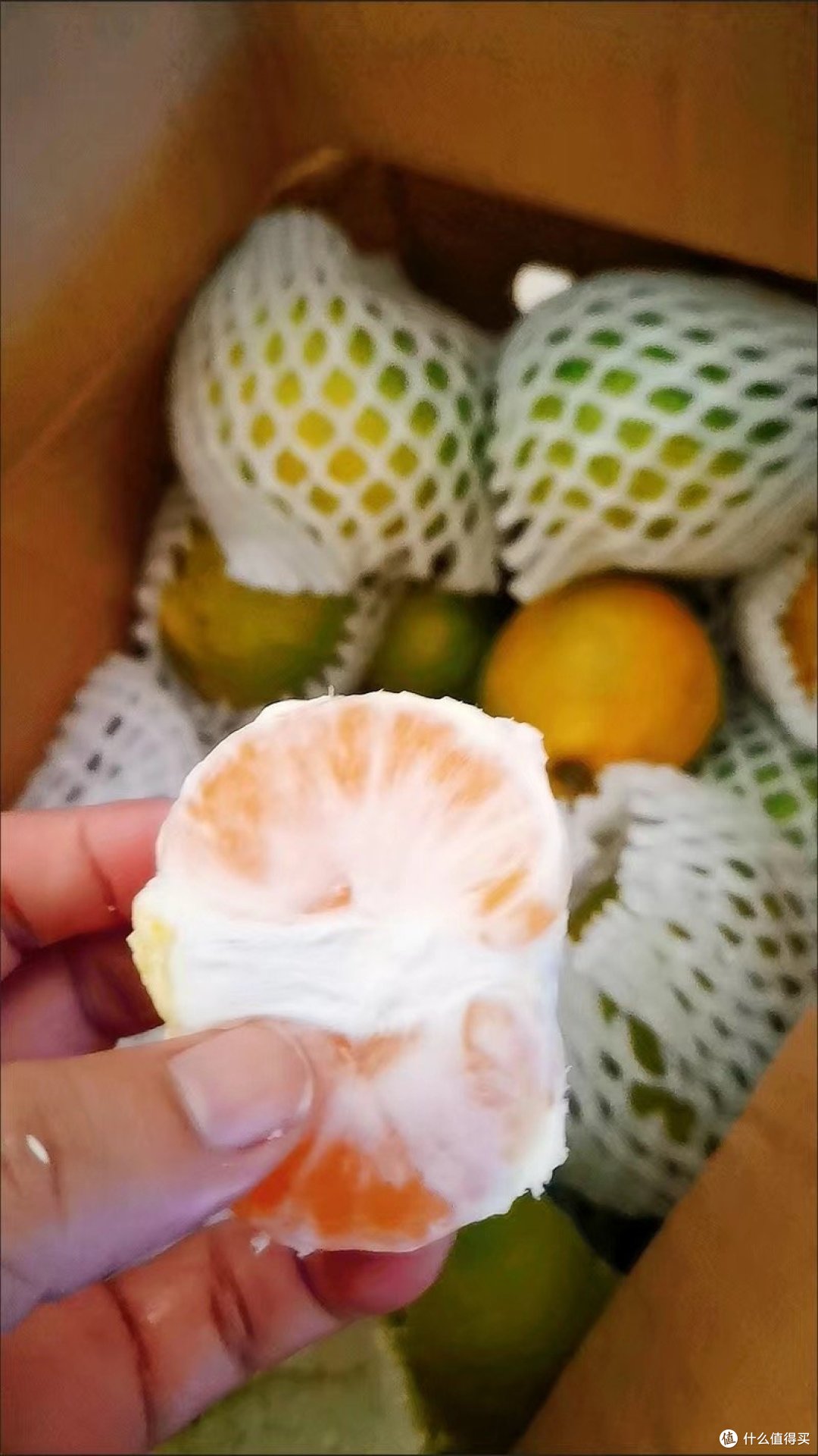 想要美丽又健康?这些夏日水果绝对不能错过!