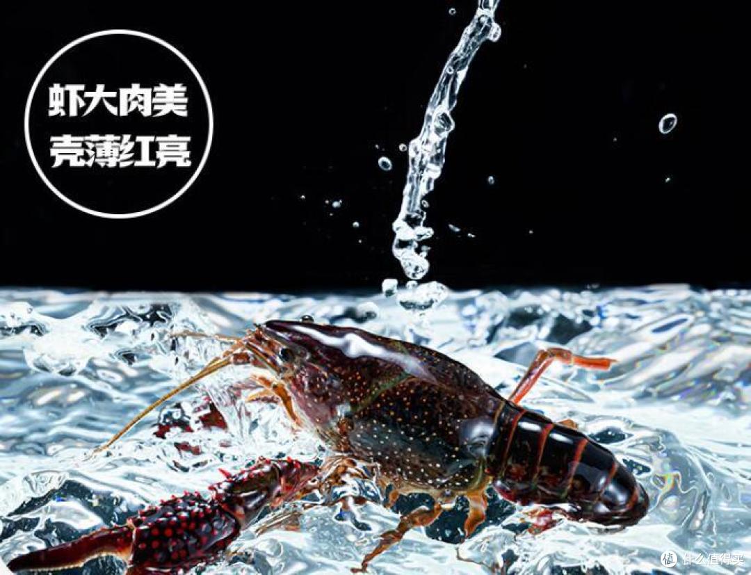 美味夜宵,海底捞小龙虾,让你尽享夏日狂欢!