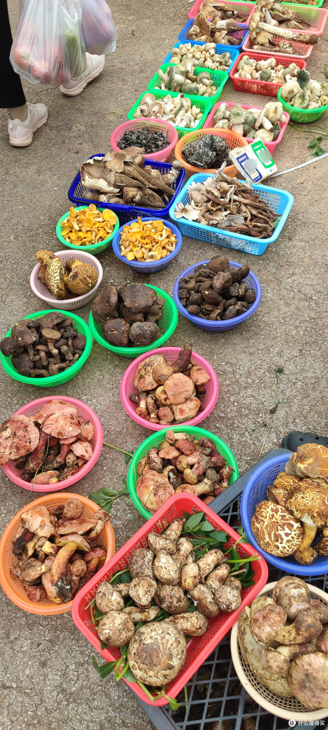 夏日食光-赶集满街水果
