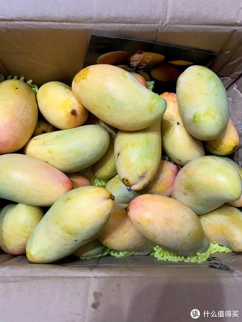 芒果的季节，便宜又好吃。
