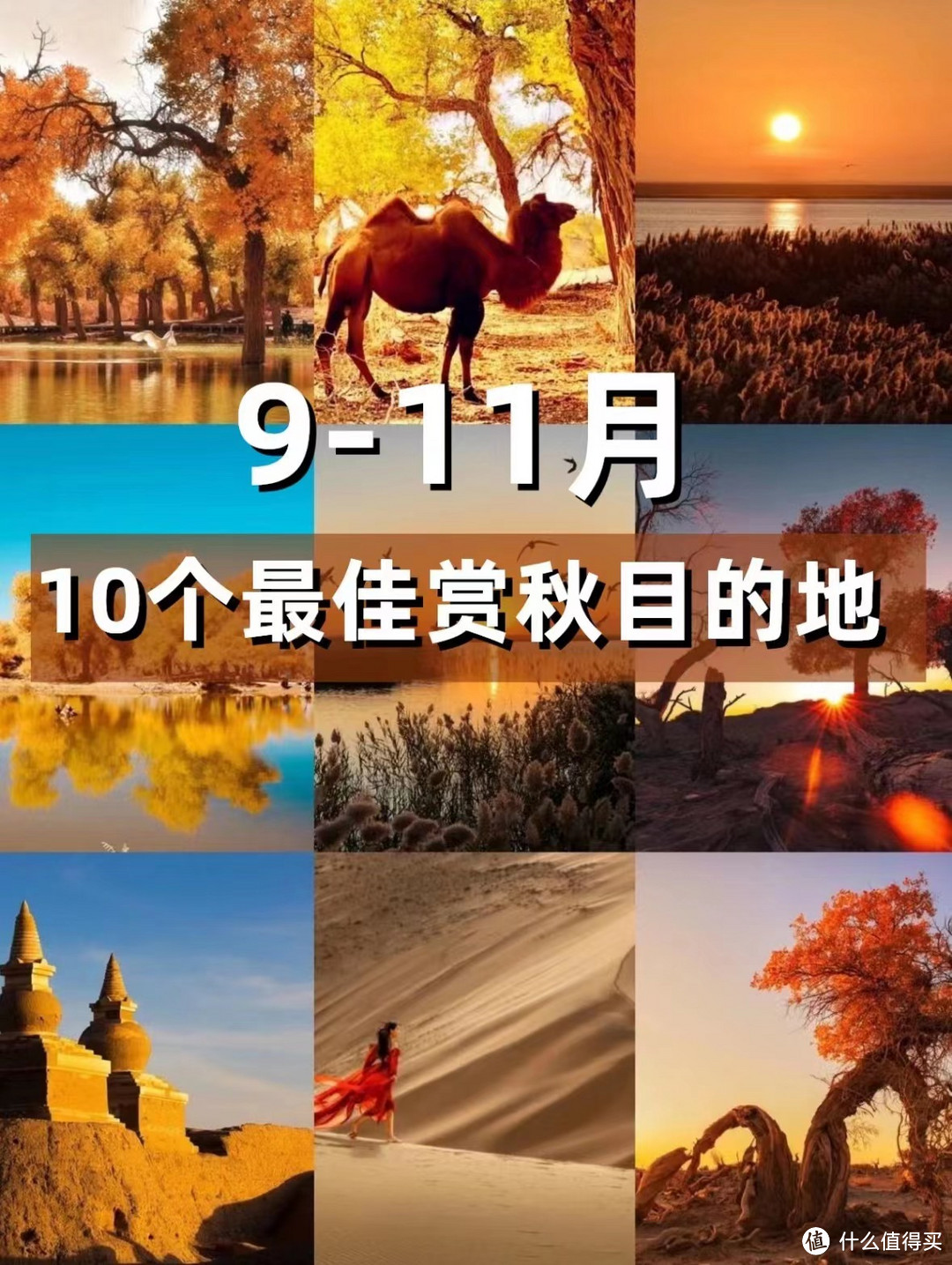 9-10月旅行攻略✅国内10个最佳秋季旅行地