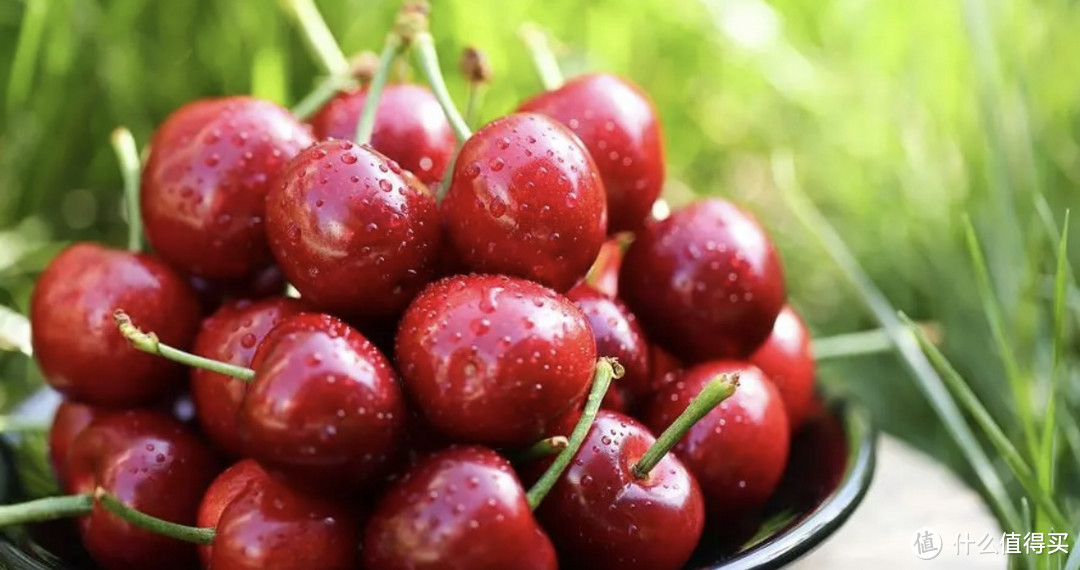 樱桃狂热！这个夏天，你吃过最甜的水果是它！