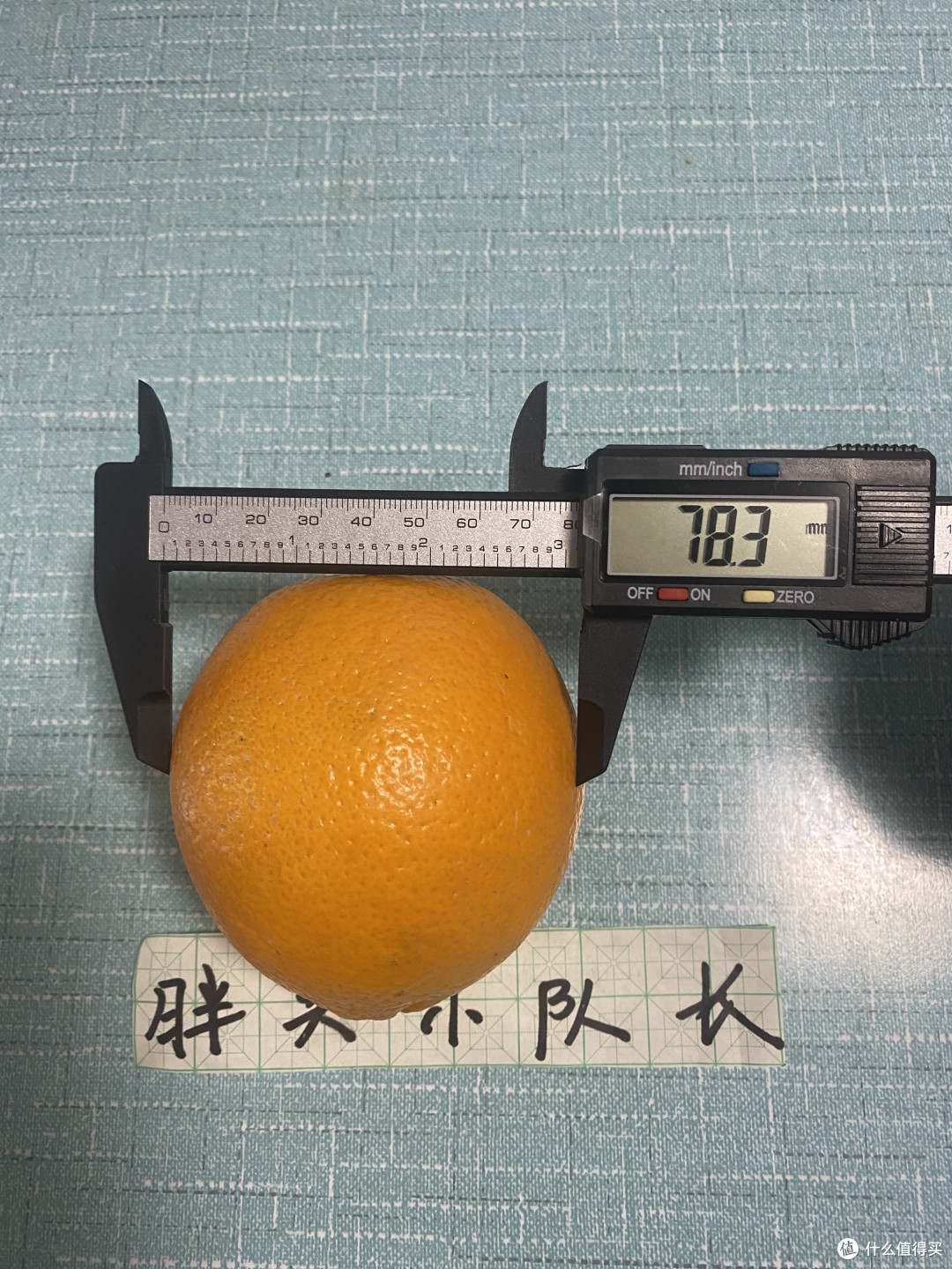 奶爸带娃好水果，趣鲜语江西赣南橙子，夏橙钻石果
