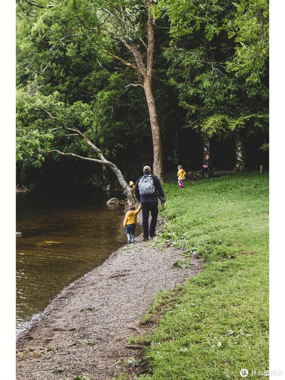 奶爸带娃记之周末带小孩去森林公园散步