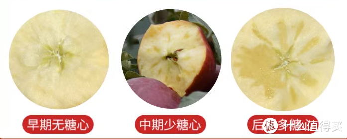 有一说一，丑苹果经常还慢好吃的！