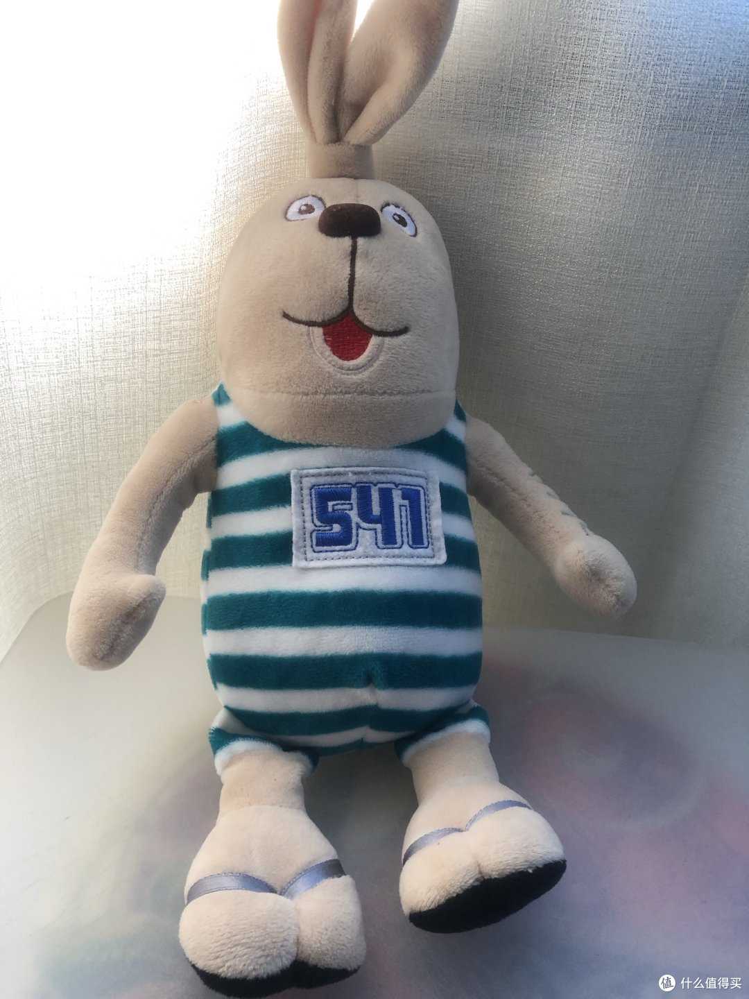 小兔🐇子穿上马甲啦！