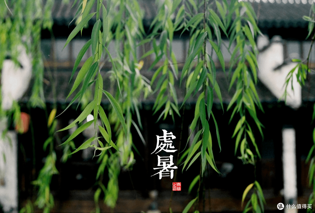 处暑节气如何养生?6个关键点要记牢~