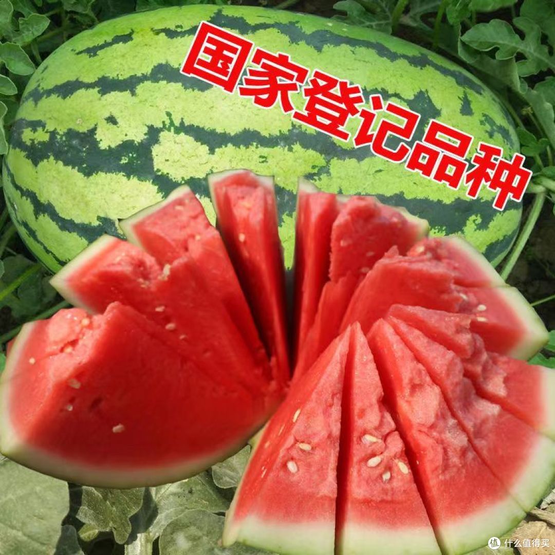 夏日必备水果之西瓜！