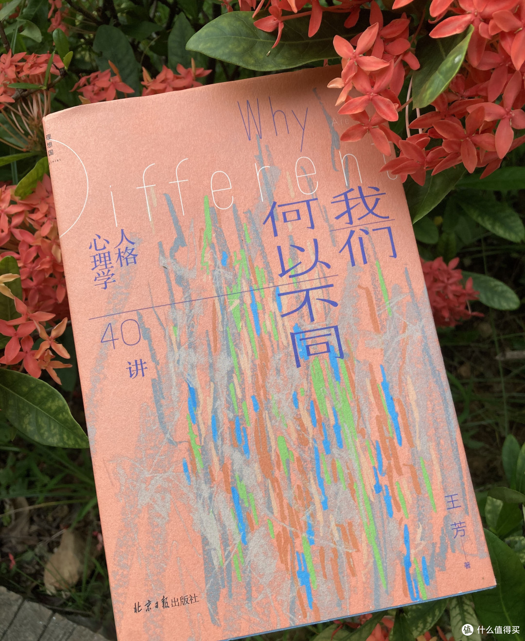 《我们何以不同》封面