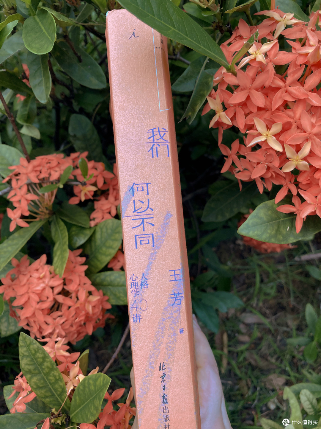 星座对应性格原来是刻板印象？人格的独特源于心理学特质的排列组合