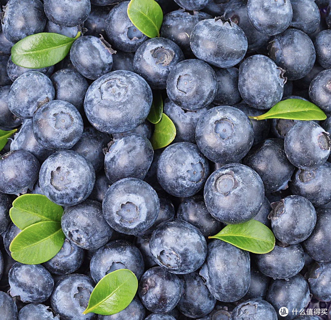 蓝莓酸甜可口，让你爱上健康零食！