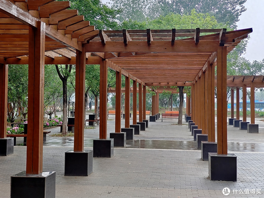 秋雨秋凉之手机摄影记录雨后公园的特别风景