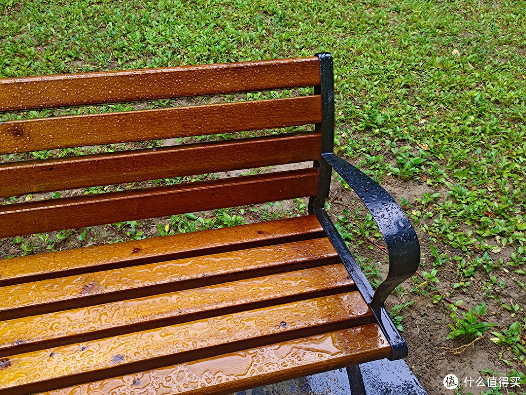 秋雨秋凉之手机摄影记录雨后公园的特别风景