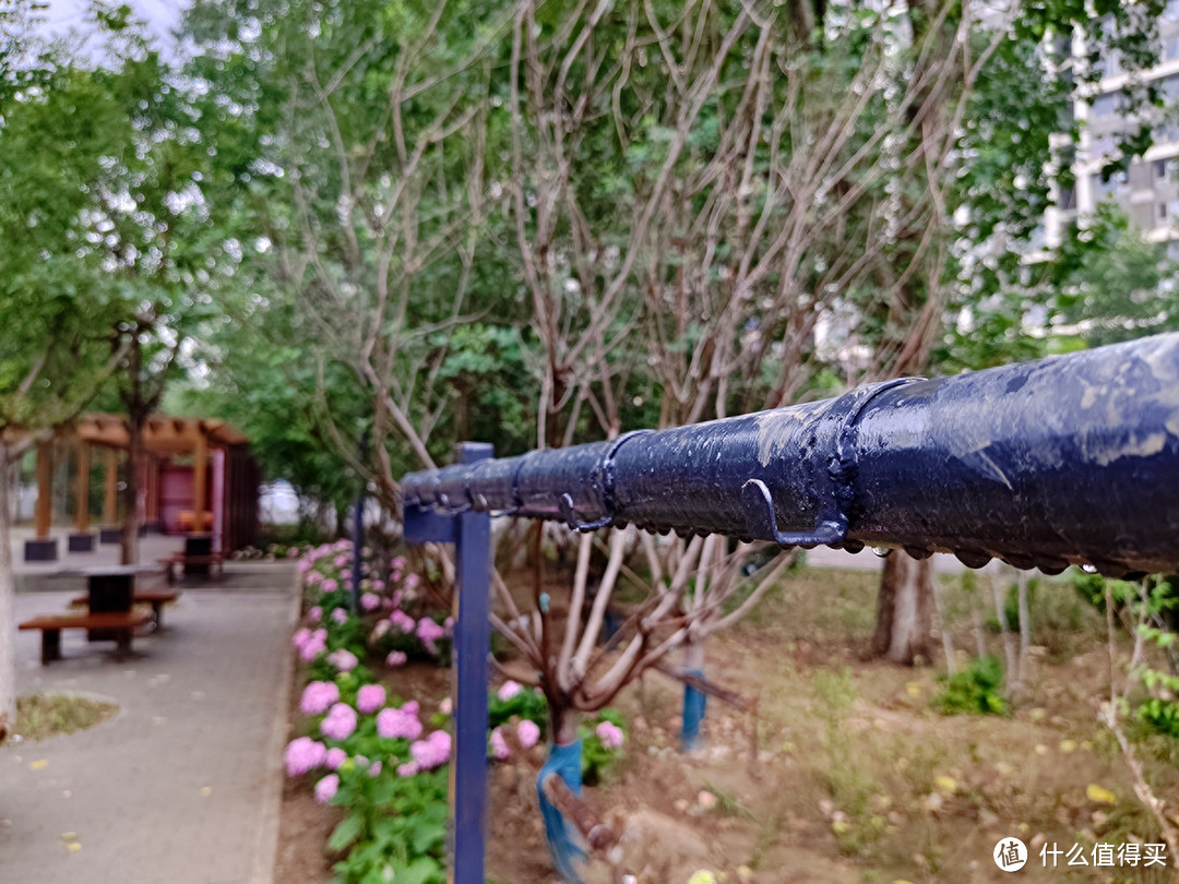 秋雨秋凉之手机摄影记录雨后公园的特别风景