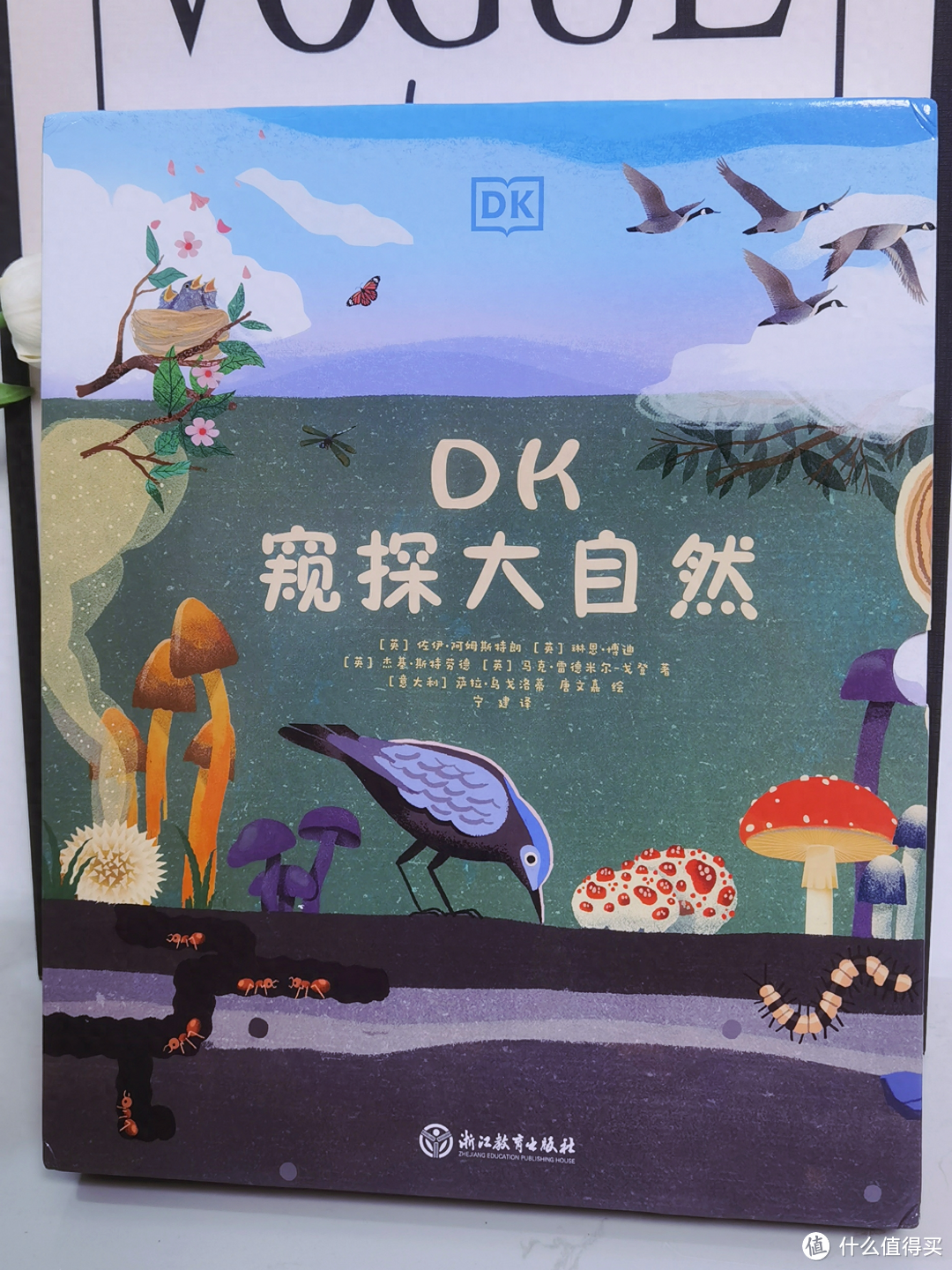 《DK窥探大自然》让孩子领略自然之美，激发求知欲和探索欲