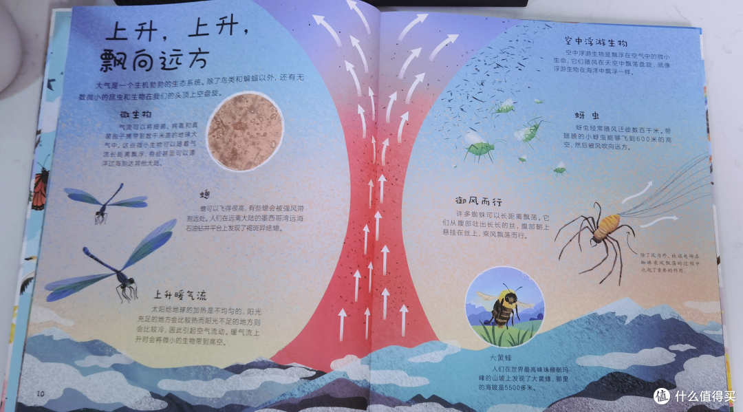 《DK窥探大自然》让孩子领略自然之美,激发求知欲和探索欲