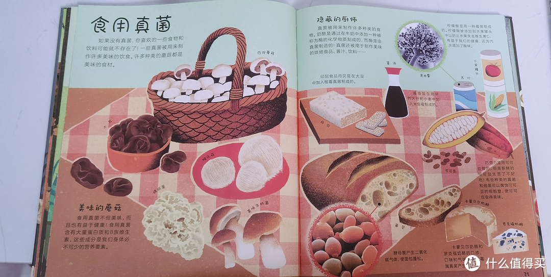《DK窥探大自然》让孩子领略自然之美,激发求知欲和探索欲