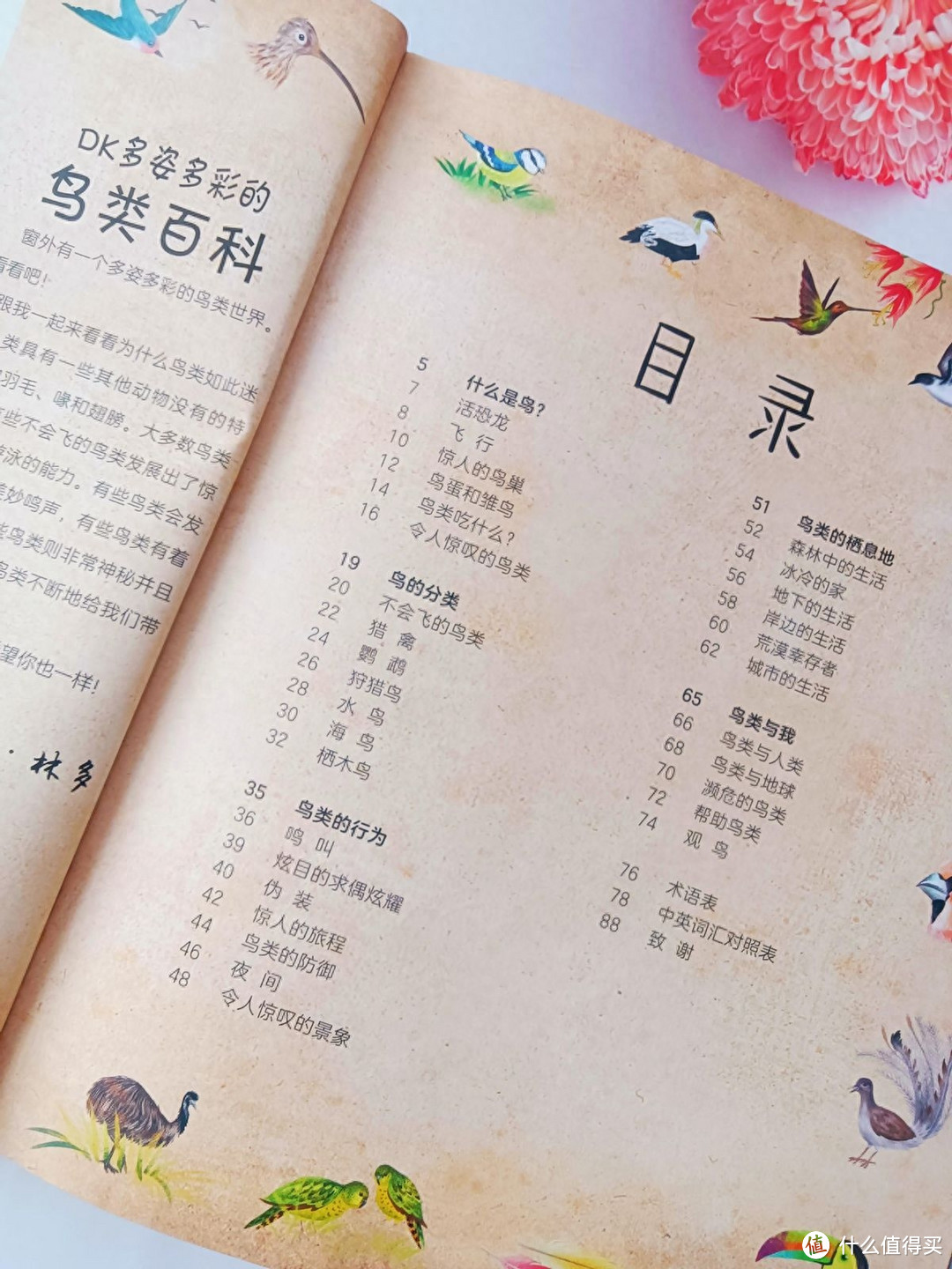 《DK多姿多彩的鸟类百科》:一本关于鸟类行为图鉴的儿童科普读物
