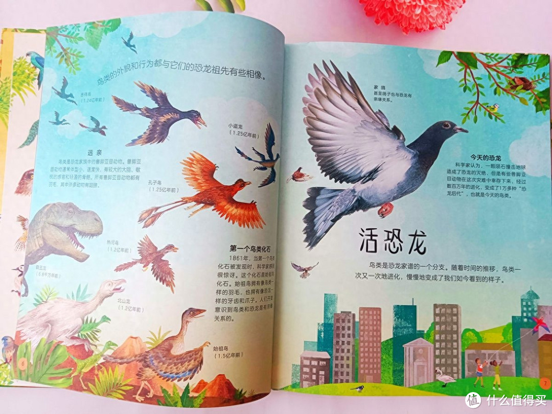 《DK多姿多彩的鸟类百科》:一本关于鸟类行为图鉴的儿童科普读物