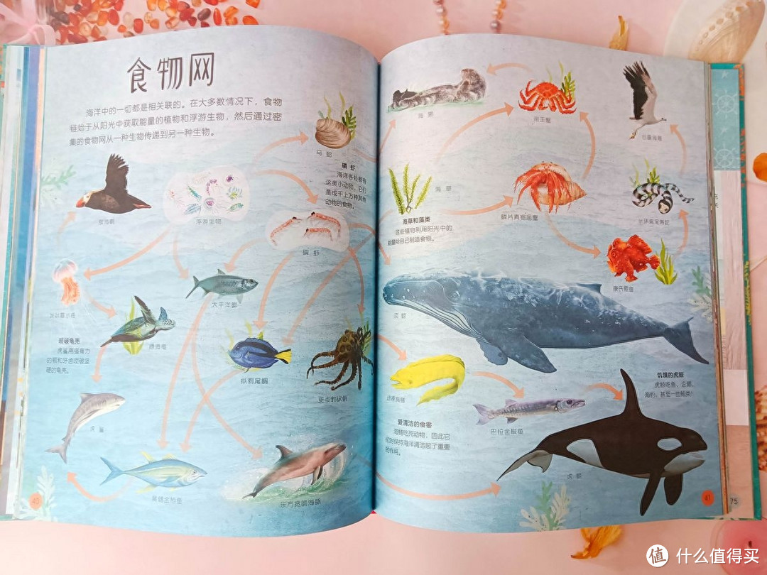 《DK不可思议的海洋百科》解锁不可思议的海洋秘籍