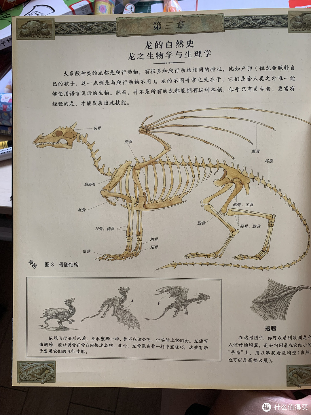 喂，卡塞尔学院图书馆吗？你们的书错送到我们馆了...《龙族笔记》读后感