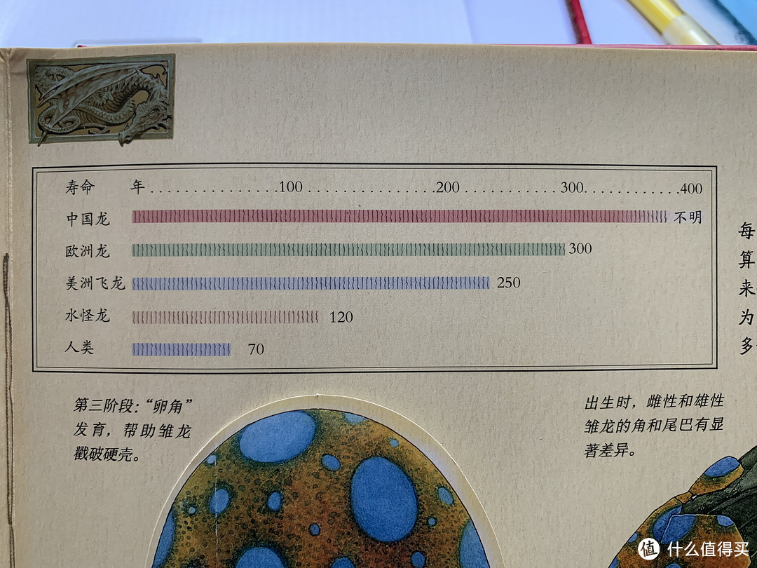 喂，卡塞尔学院图书馆吗？你们的书错送到我们馆了...《龙族笔记》读后感