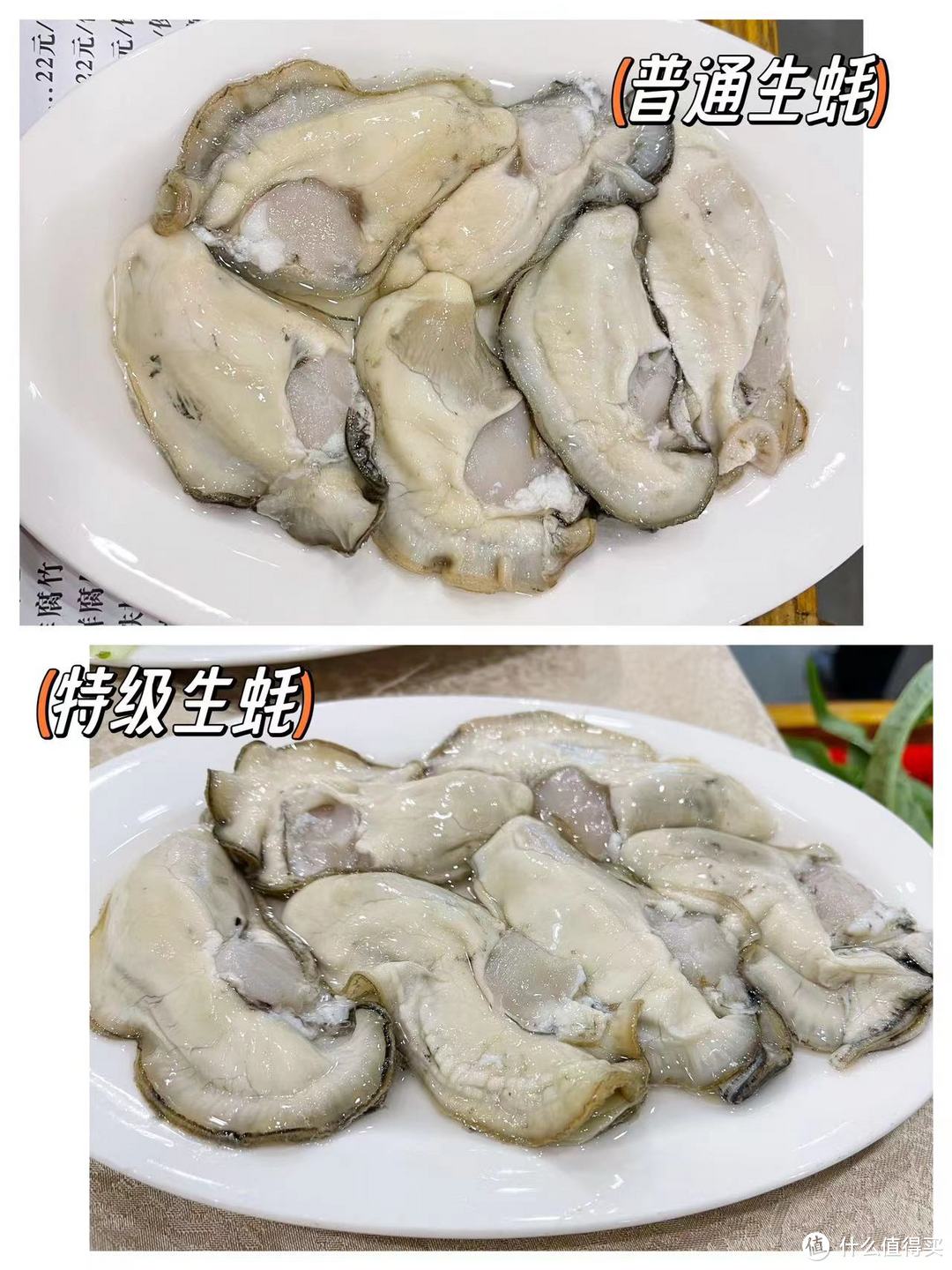 夏季宵夜大赏——横琴生蚝,男生的加油站,女人的美容院