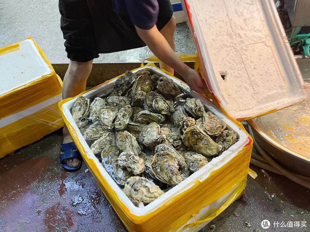 夏季宵夜大赏——横琴生蚝,男生的加油站,女人的美容院