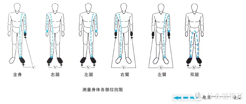 体脂秤怎么选？使用过三款八电极体脂秤后，我推荐这款……