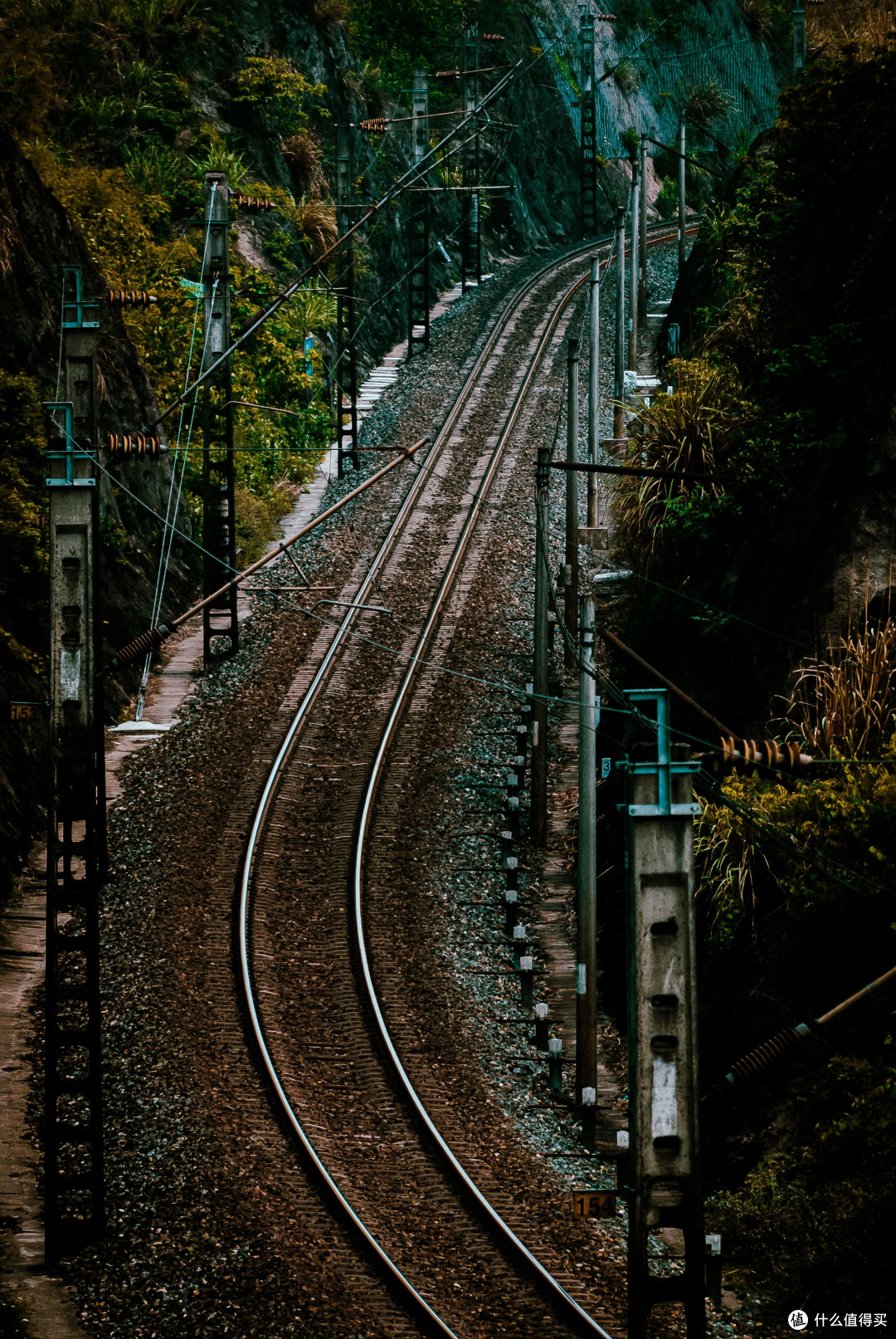 Nikon d80