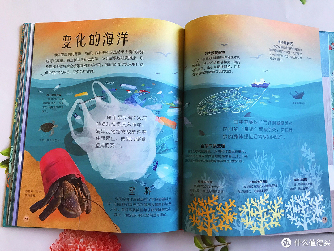《DK不可思议的海洋百科》：带孩子探索海洋惊奇的领域