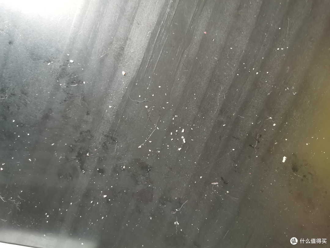 三只猫一起炫朗诺冻干棒棒糖