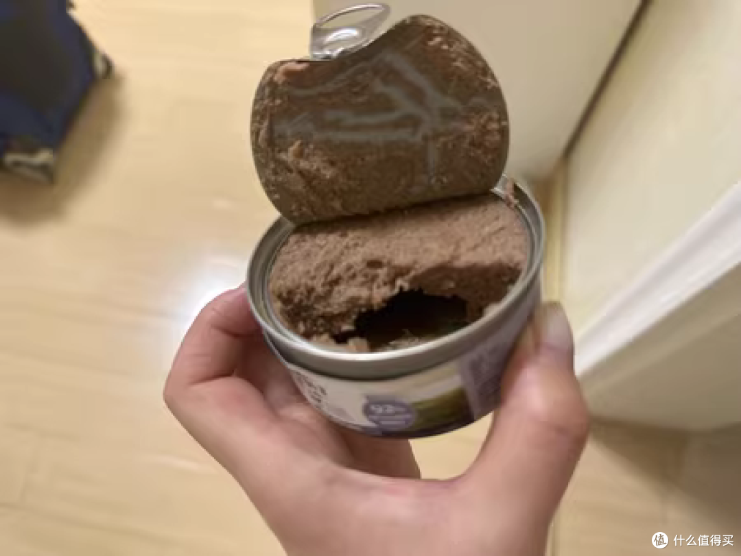 如何预防猫咪尿闭?