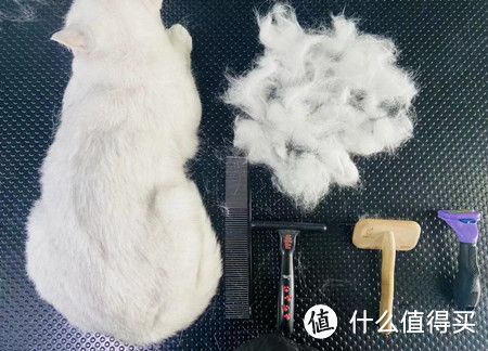 猫咪老是掉毛?2种办法可以改善猫咪掉毛