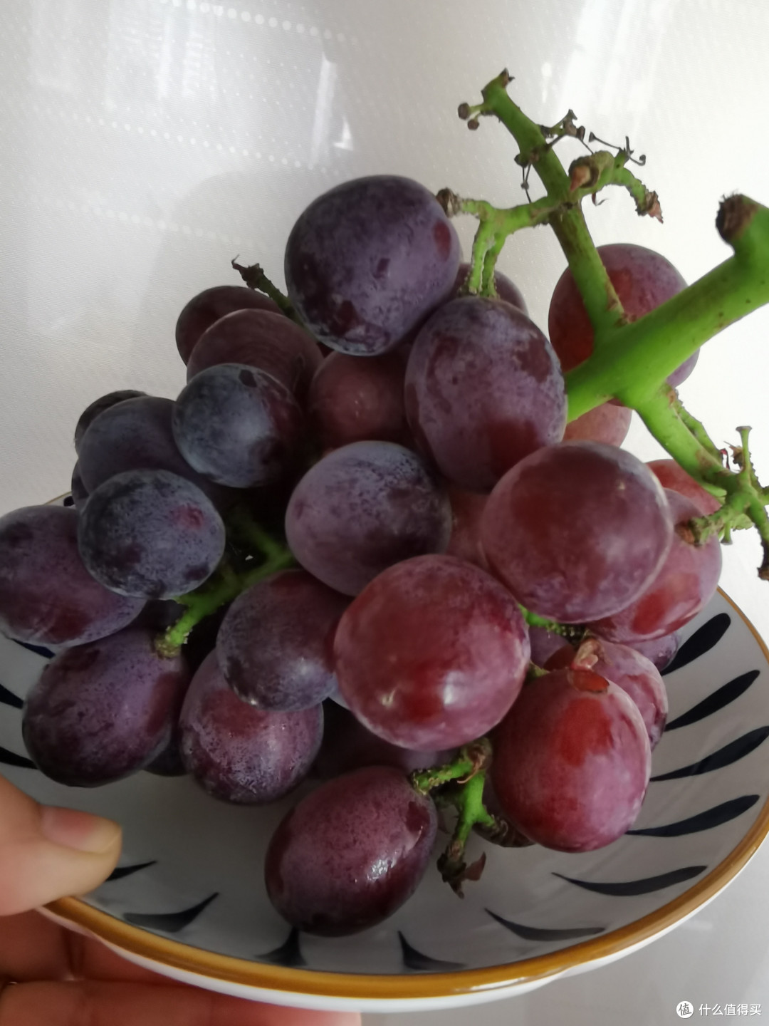 夏日食光 | 石榴,让你的味蕾在夏日绽放!