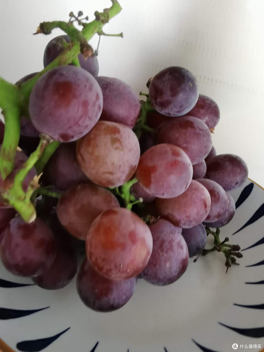 夏日食光 | 石榴,让你的味蕾在夏日绽放!