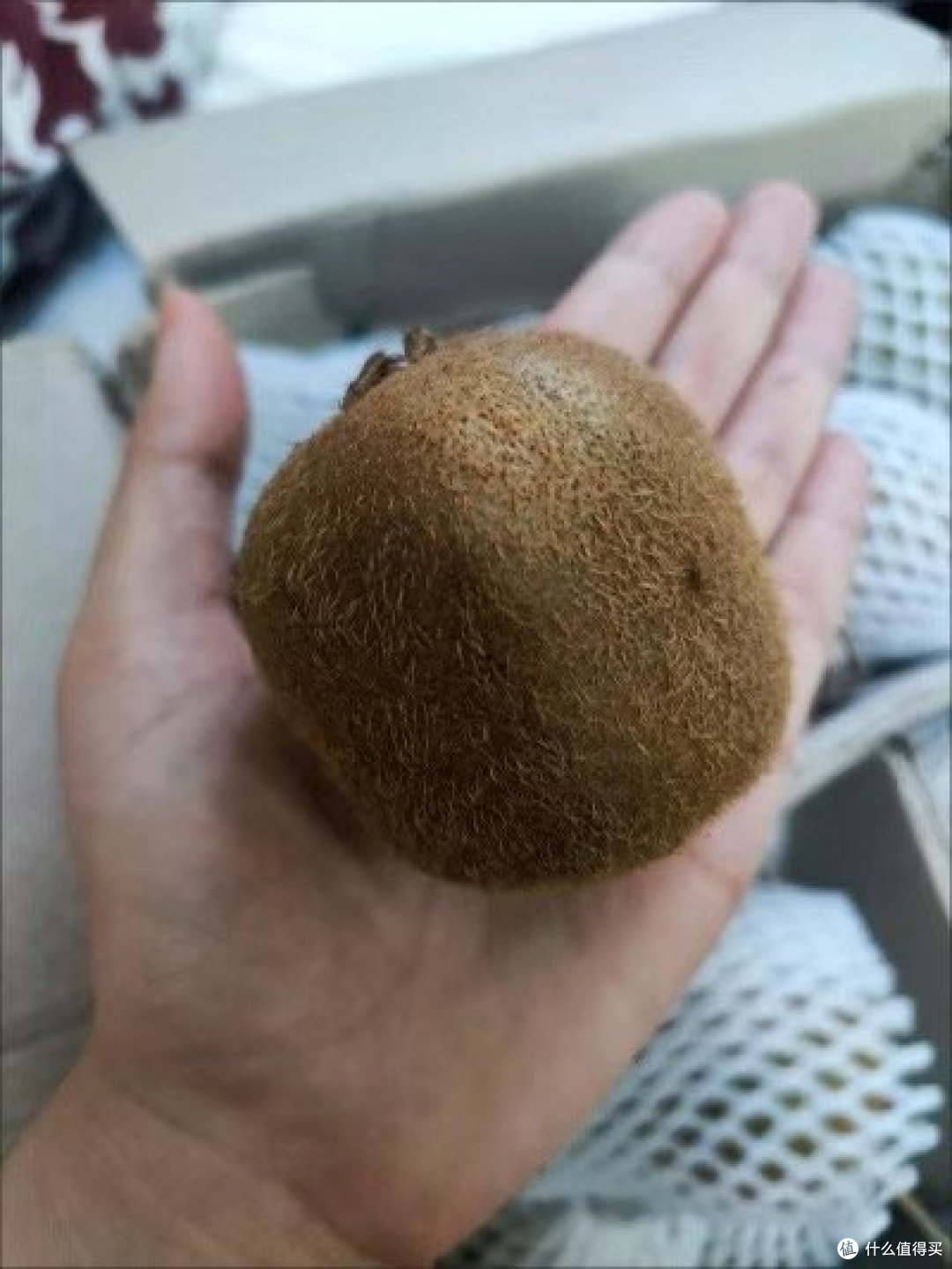 夏天就要多多吃些水果