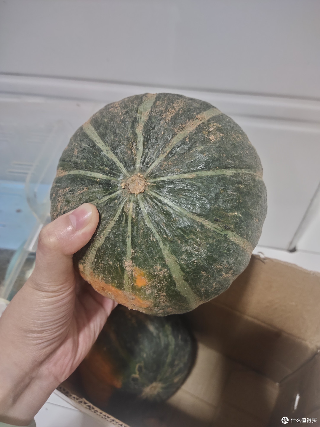 奶爸带娃必备!超赞的水果推荐!🌞