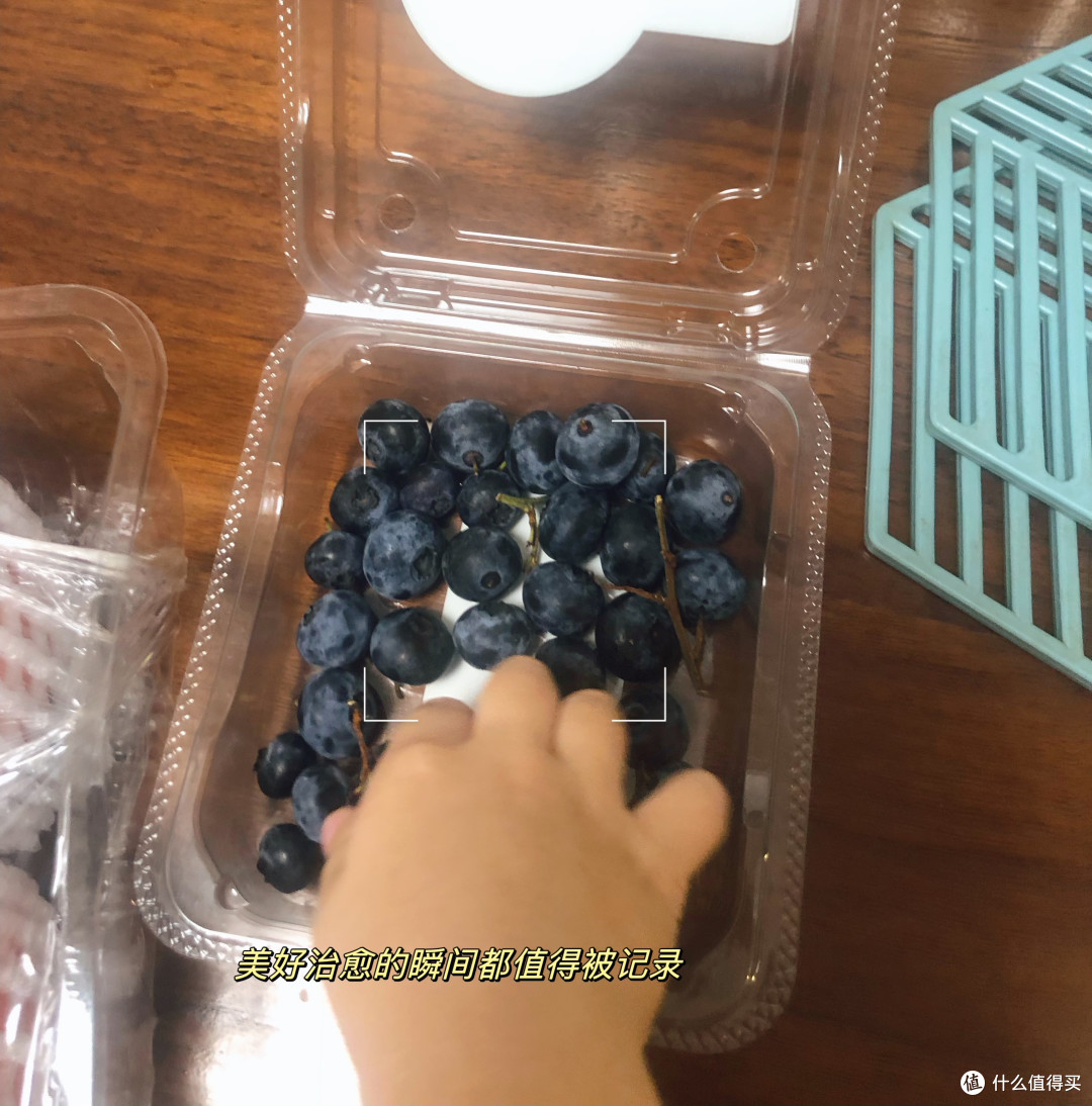 带枝蓝莓