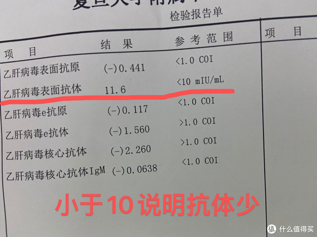 成人乙肝疫苗注射经验分享