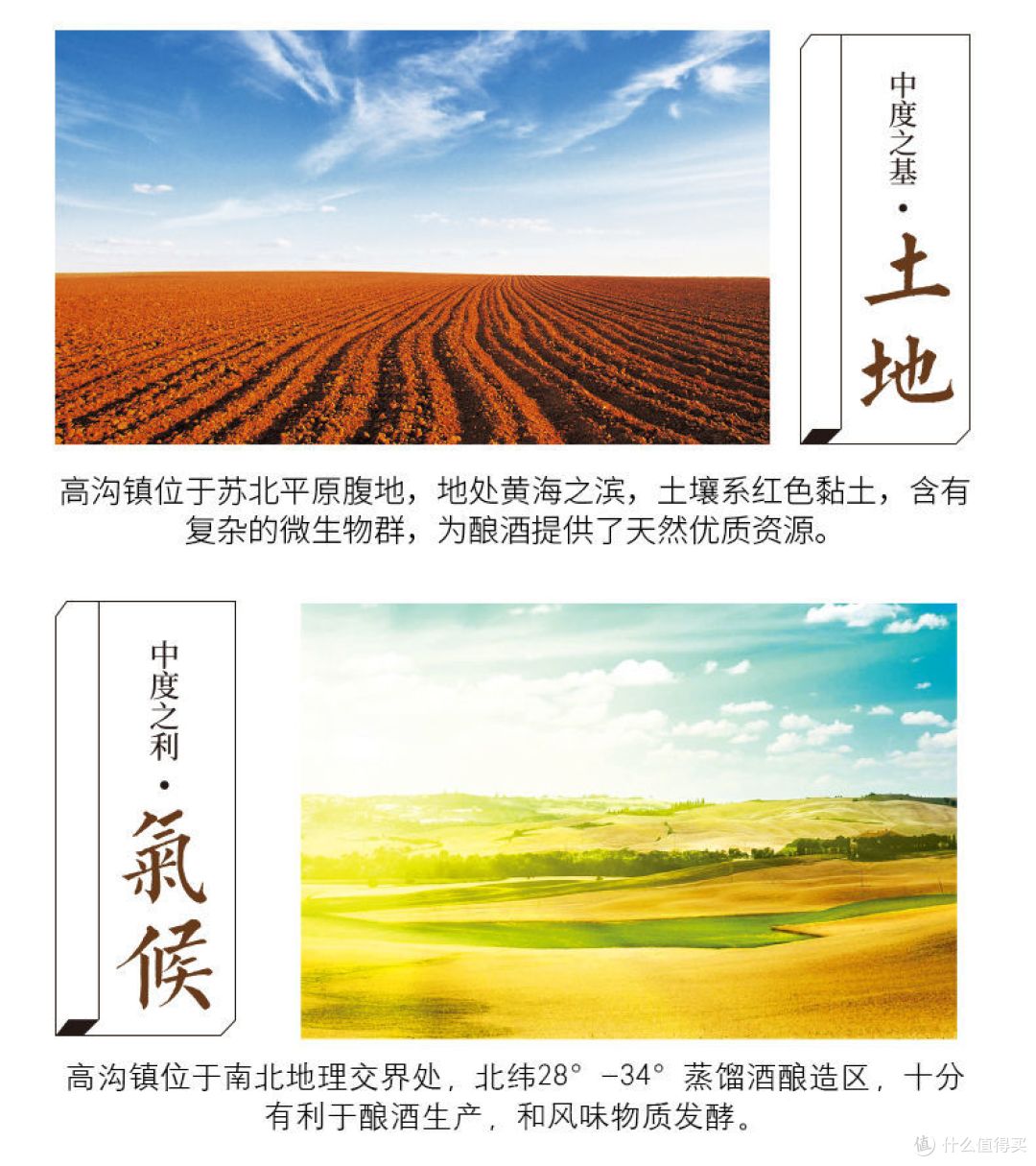 今世缘42度国缘淡雅新版 送礼商务宴会白酒！！！