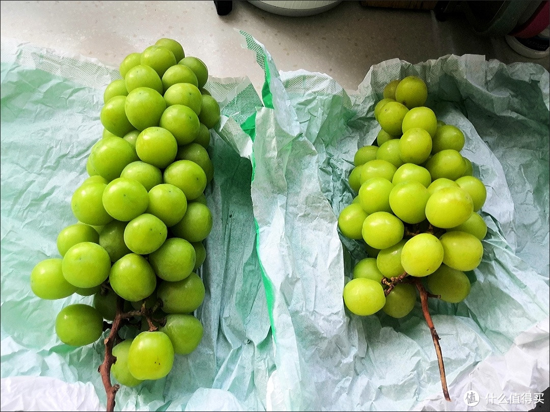 炎热的夏季这么能少得了葡萄这个水果呢！