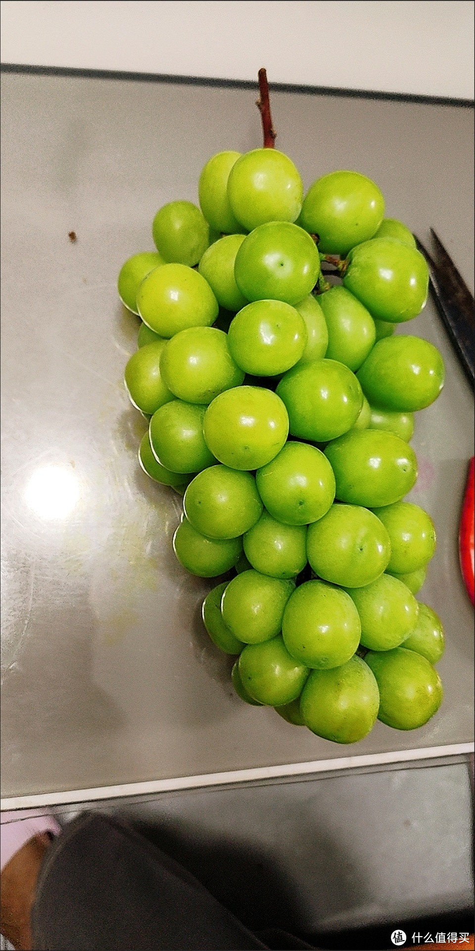 炎热的夏季这么能少得了葡萄这个水果呢！