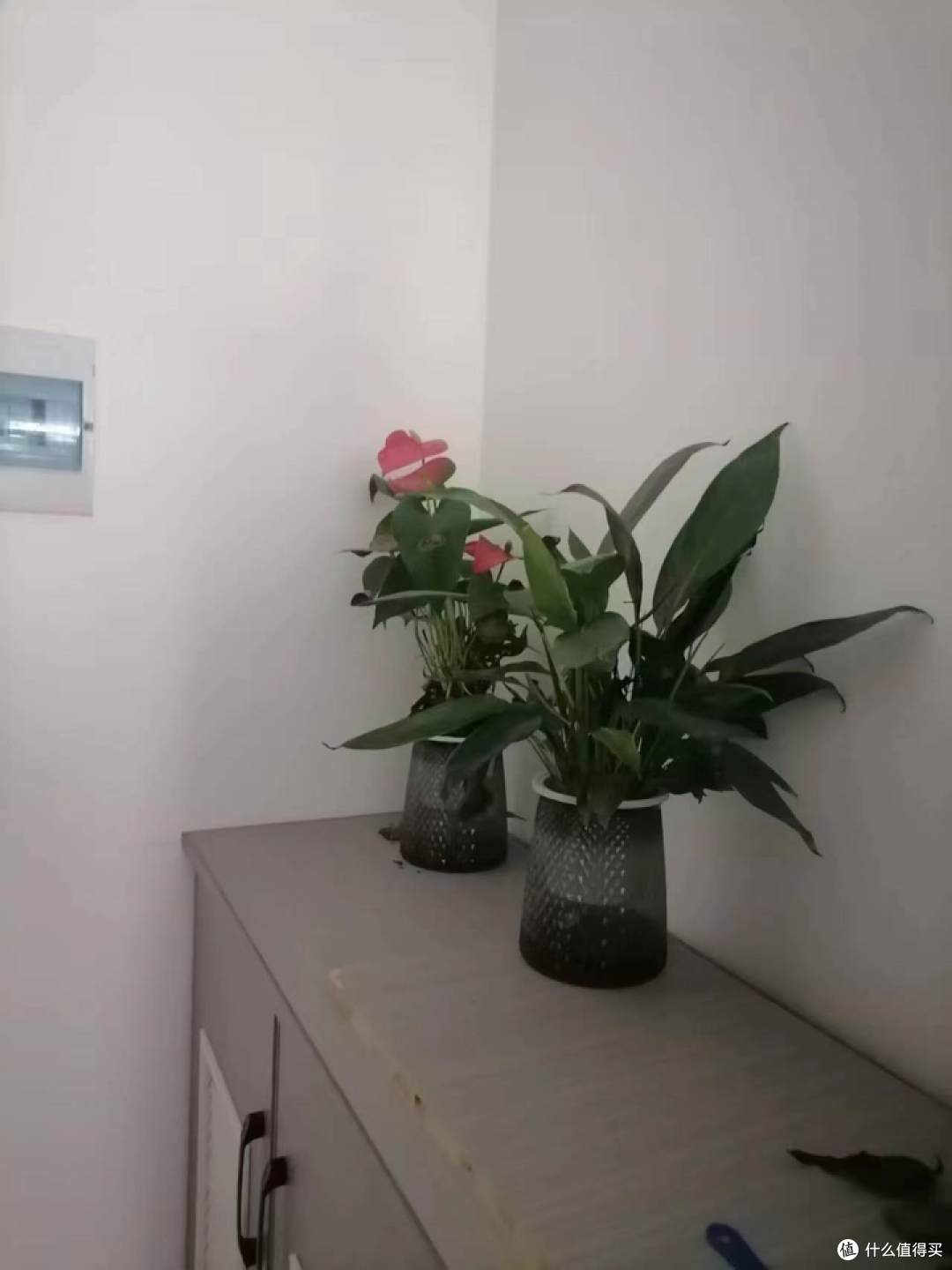 马上就要搬进新家了,有哪些智能家居值得推荐?