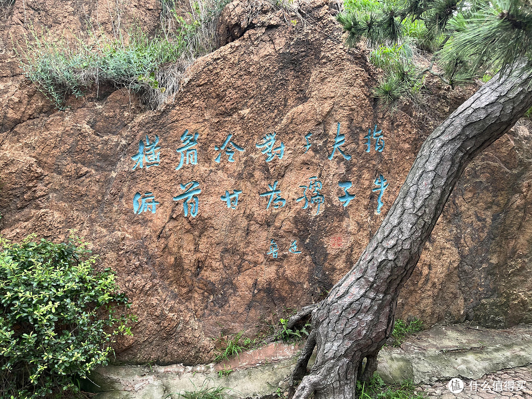 青岛的碧海蓝天，从海军博物馆赶海到农贸市场买海鲜加工！